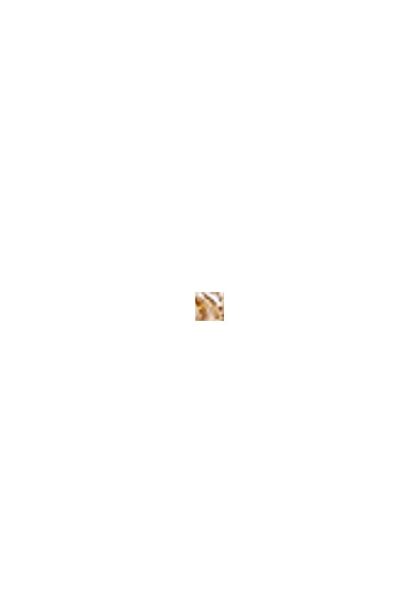 Jamie Rope Chain T-Bar Necklace And Bracelet Gold